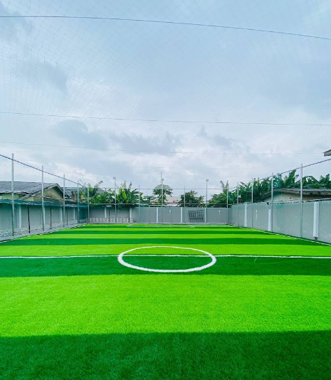 Spectator Area & Arena Pitch